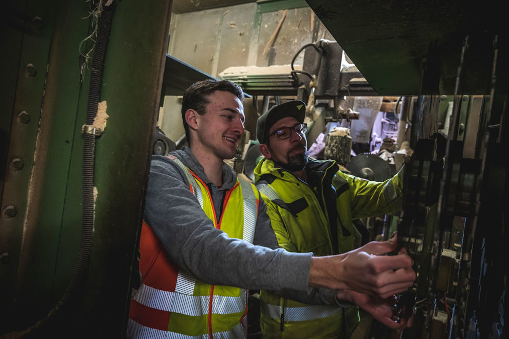 Entwicklungsprogramm